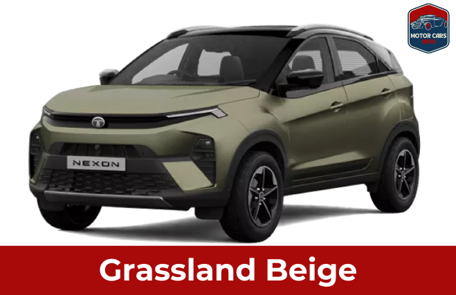 nexon beige colour