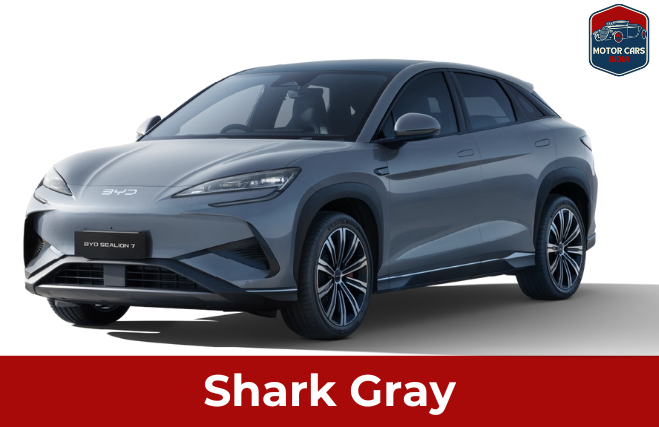 Sealion 7 gray colour